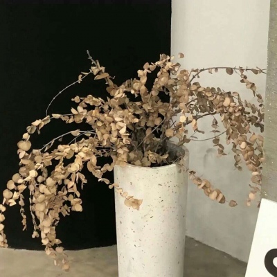 新沂FurryQQ群介绍